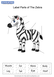 Label parts of the Zebra