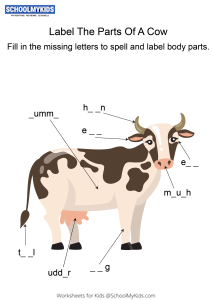 parts cow body worksheet english blanks labeling fill schoolmykids grade