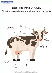 Labeling the parts of a Cow - Cow body parts fill in the blanks