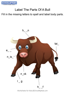Labeling the parts of a Bull - Bull body parts fill in the blanks