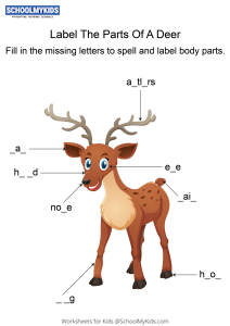 Labeling the parts of a Deer - Deer body parts fill in the blanks
