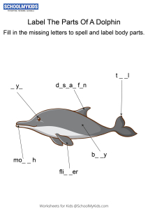 Labeling the parts of a Dolphin - Dolphin body parts fill in the blanks