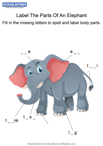 Labeling the parts of an Elephant - Elephant body parts fill in the blanks