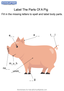 Labeling the parts of a Pig - Pig body parts fill in the blanks
