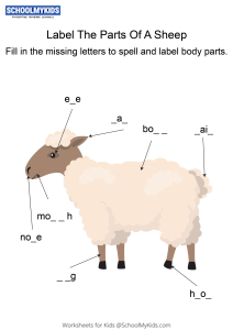 Labeling the parts of a Sheep - Sheep body parts fill in the blanks