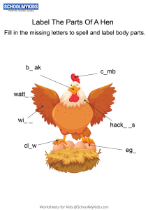 Labeling the parts of a Hen - Hen body parts fill in the blanks