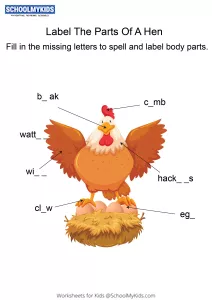 Labeling the parts of a Hen - Hen body parts fill in the blanks
