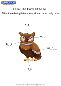 Labeling the parts of an Owl - Owl body parts fill in the blanks