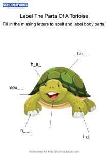 Labeling the parts of a Tortoise - Tortoise body parts fill in the blanks