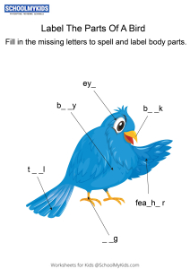 Labeling the parts of a Bird - Bird body parts fill in the blanks