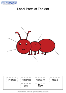 Label parts of the Ant