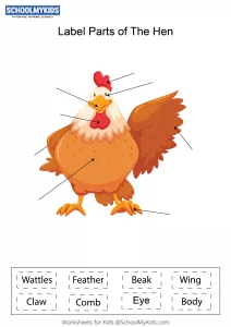 Label parts of the Hen