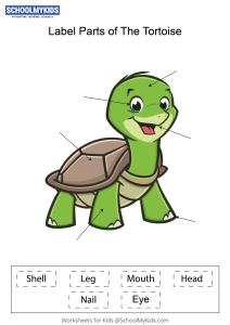 Label parts of the Tortoise