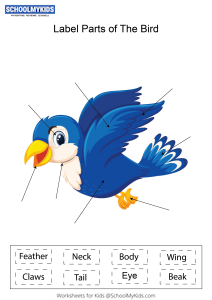 Label parts of the Bird Worksheets for Kindergarten,First,Second Grade