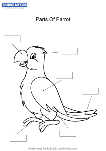Label and color the parts of a Parrot