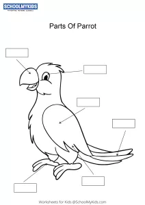 Label and color the parts of a Parrot