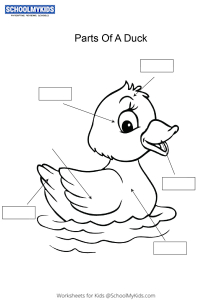 Label and color the parts of a Duck