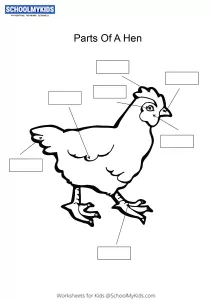 Label and color the parts of a Hen