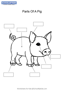 Label and color the parts of a Pig