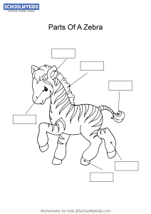 Label and color the parts of a Zebra