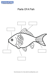 Label and color the parts of a Fish