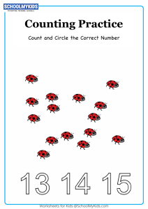 Circle the Correct Number up to 15