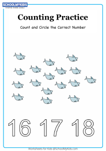 Circle the Correct Number up to 18