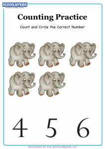 Circle the Correct Number up to 6