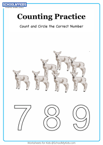 Circle the Correct Number up to 9