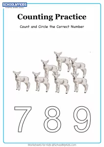 Circle the Correct Number up to 9