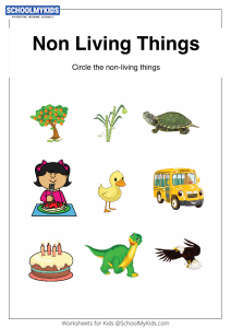 Identify Non-Living Things