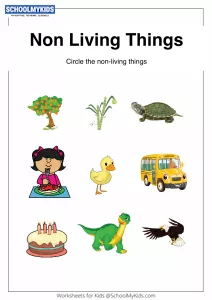 Identify Non-Living Things