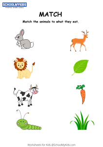Animals and Their Food Matching Activity Worksheets for Kindergarten,First,Second Grade - Science Worksheets Animals and Their Food Matching Activity Worksheets for Kindergarten,First,Second Grade - Science Worksheets