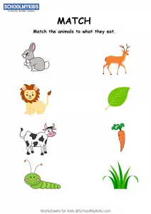 Animals and Their Food Matching Activity