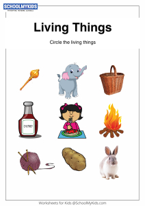 Living and Non-Living Things Worksheets for Preschool,Kindergarten,First  Grade - General Awareness Worksheets 