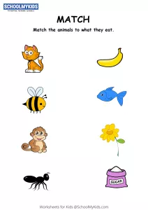Match the animals to what they eat