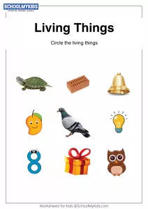 What Are Living Things?
