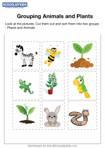 Grouping Plants and Animals Worksheets for Kindergarten,First Grade -  General Awareness Worksheets 