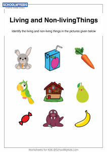 Identify Living and Non-Living Things