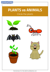 Circle the Plants
