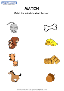 Match Animals To Their Food Worksheets for Kindergarten,First,Second Grade  - Science Worksheets 