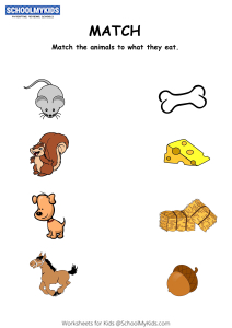 Match Animals To Their Food Worksheets for Kindergarten,First,Second