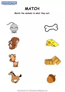 Match Animals To Their Food