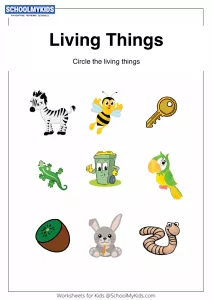 Identify Living Things