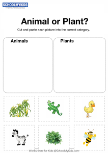 Animal and Plant Sorting Worksheets for Kindergarten,First Grade - General  Awareness Worksheets 