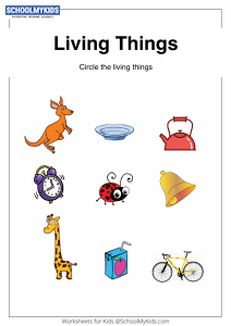 Identifying Things That Grow - Living Things