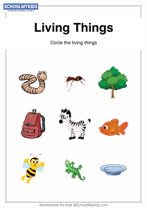 Classify Living Things