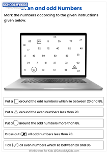 Even and Odd Number Activity