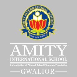 Amity International School