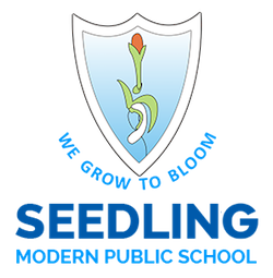 Seedling Modern Public School, Sapetia